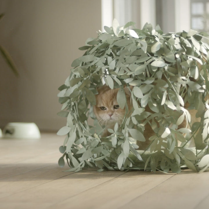 Cat Bush Busk Design Kennel for Cats | United Pets Milano