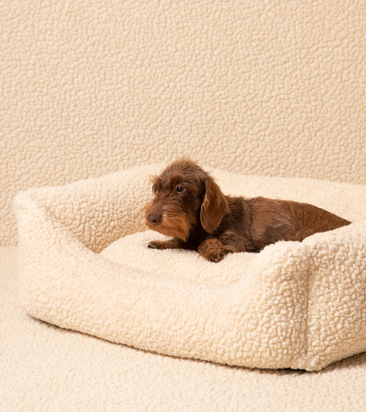 Henri - Bouclé Wool Bed for Dog | 2.8 Duepuntootto Design for Dogs
