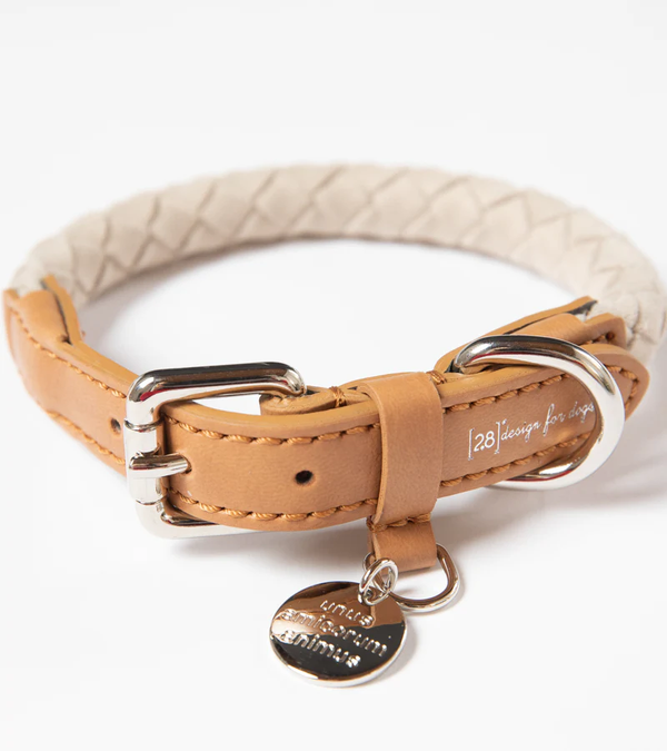 2.8 Duepuntootto Design for Dogs