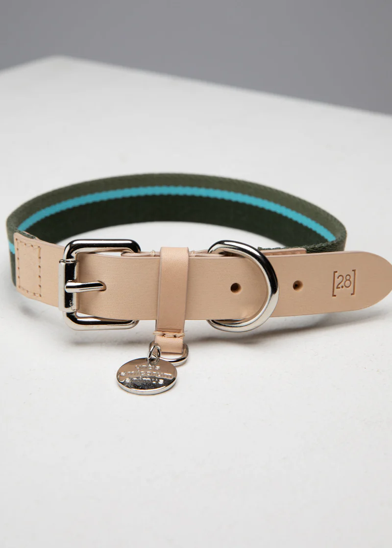 Franco Collar in Ribbon and Leather | 2.8 Duepuntootto Design for Dogs