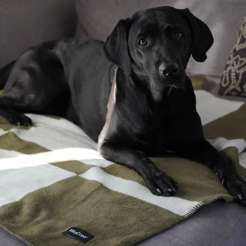 Blocco Luxury Dog Blanket - MiaCara Innovative Design