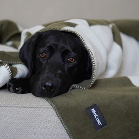 Blocco Luxury Dog Blanket - MiaCara Innovative Design