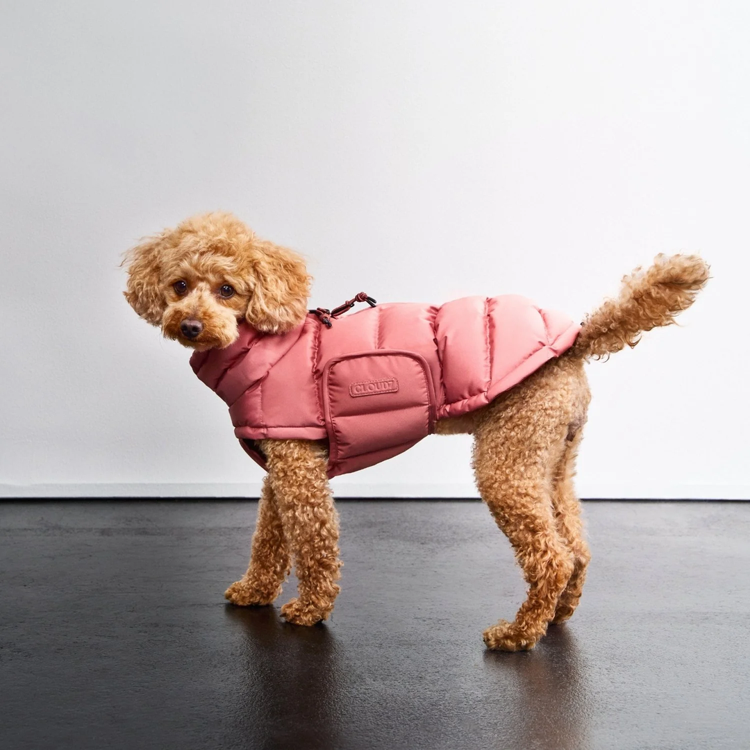 Dog Coat Alaska – Cloud7 Luxury Warmth