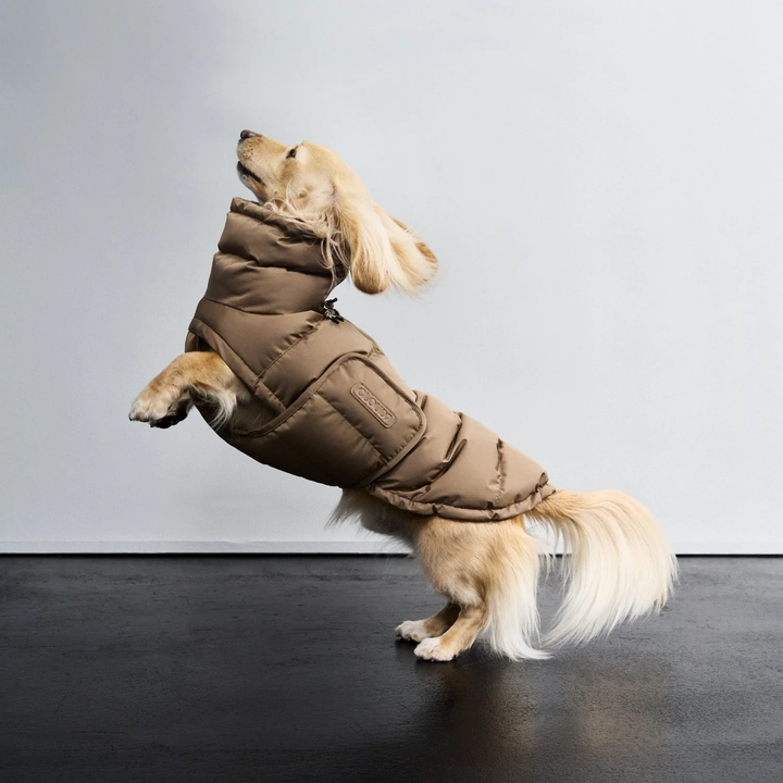 CLOUD7 Alaska Dog Coat for Dachshunds | Premium Winter Wear