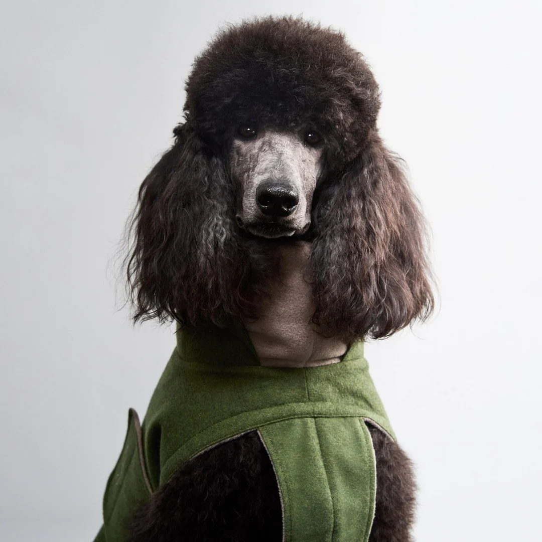 Cloud7 Brooklyn Long Flannel Dog Coat – Fern Green