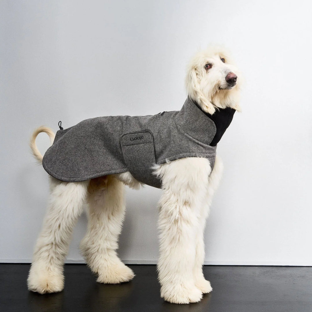 Tweed Black Brooklyn Long Dog Coat by Cloud7