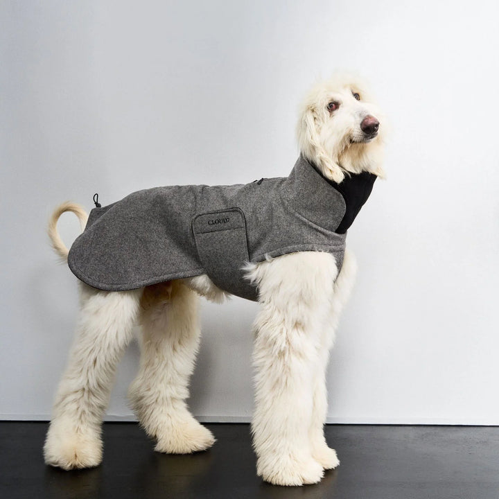 Tweed Black Brooklyn Long Dog Coat by Cloud7