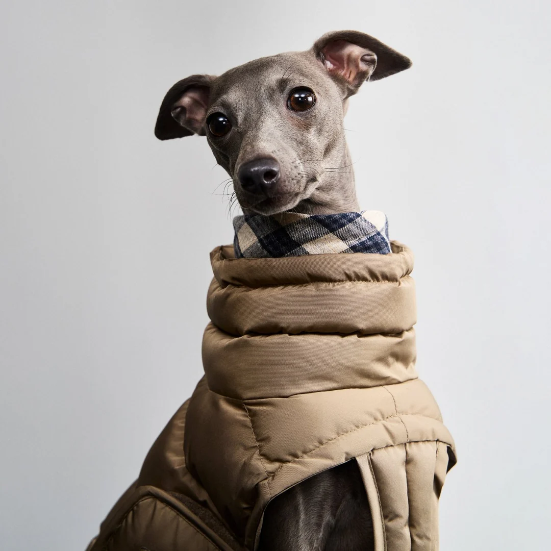 Dog Coat Alaska – Cloud7 Luxury Warmth