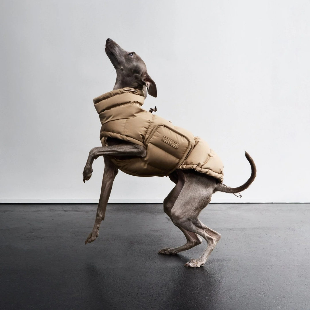 Dog Coat Alaska – Cloud7 Luxury Warmth