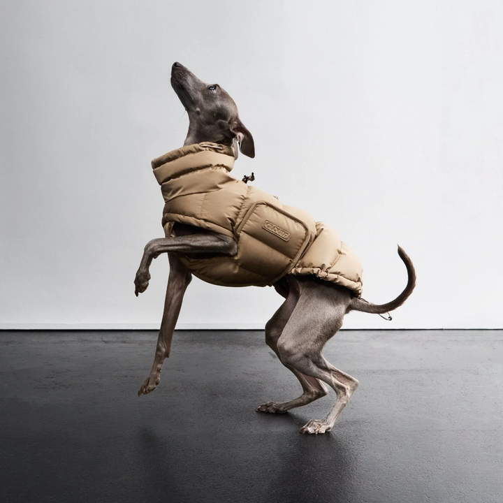Dog Coat Alaska – Cloud7 Luxury Warmth