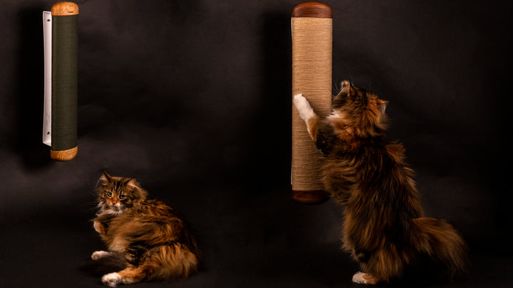 FUSO Wall Scratching Post for Cat in Wood | Brando Design