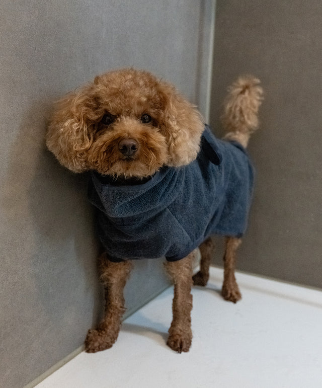 Panno Luxury Dog Towel - MiaCara Innovative Design