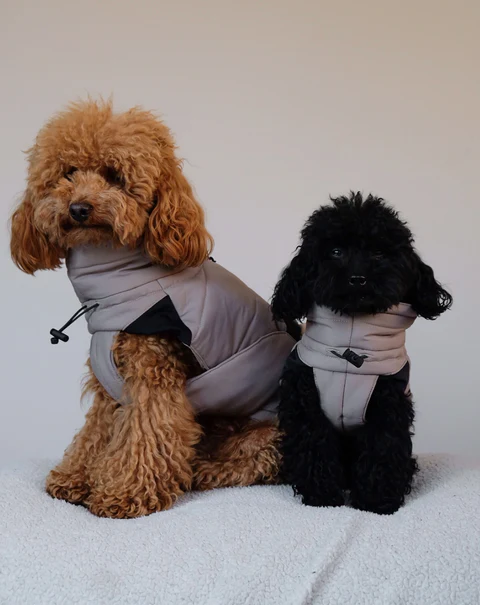 Cosima Luxury Dog Winter Coat - MiaCara Innovative Design