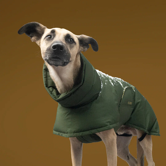 Dog Coat Everest PRO Olive | CLOUD7 Performance & Luxury