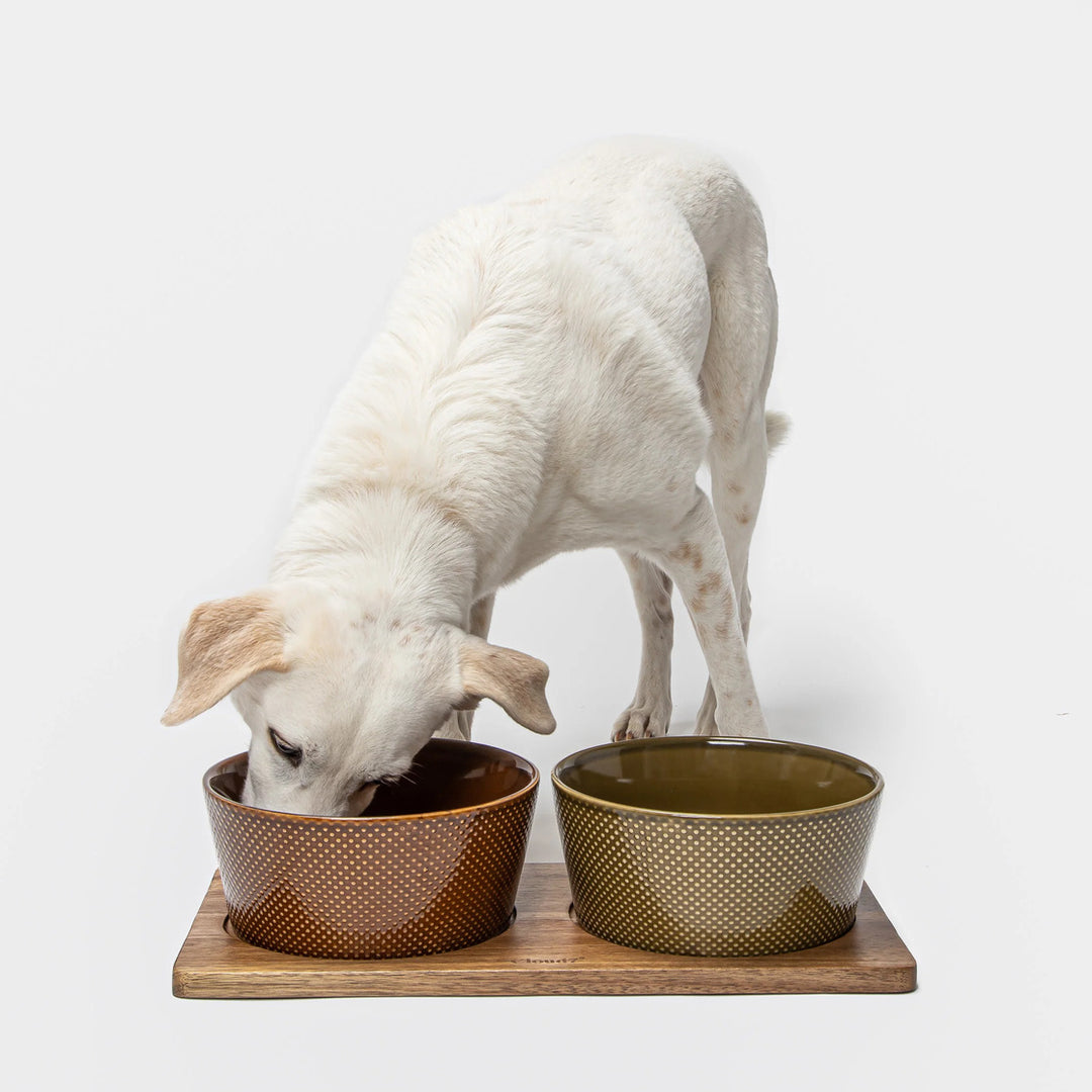 Wooden Feeding Station Set Alain by Cloud7 – Designer Pet Dining