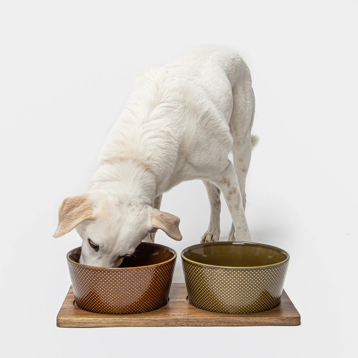 Wooden Feeding Station Set Alain by Cloud7 – Designer Pet Dining