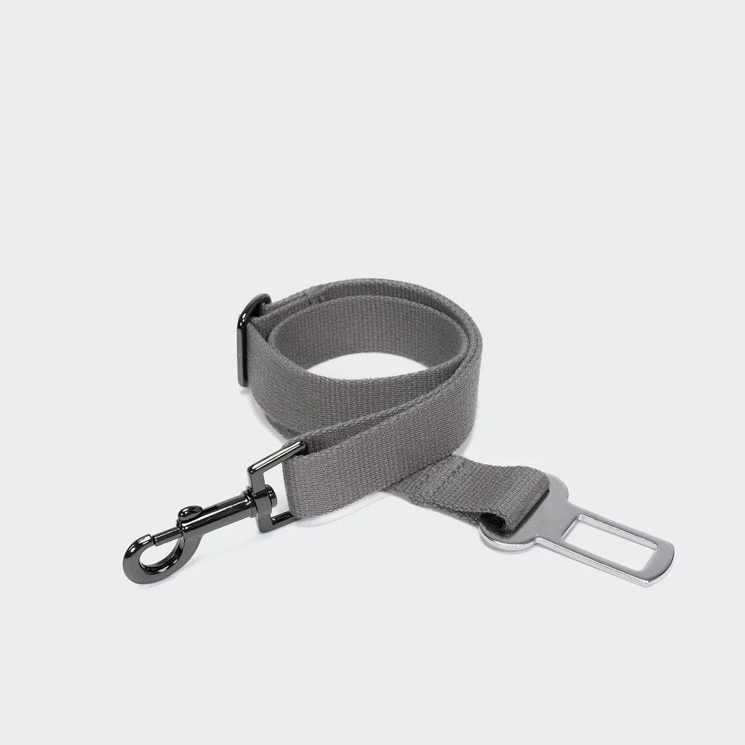 Portable Dog Car Seat Getaway | CLOUD7 Luxury Travel Accessory