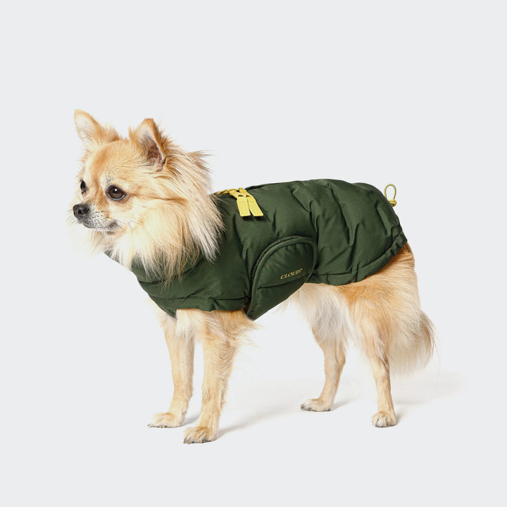 Dog Coat Alaska PRO Olive by CLOUD7  Waterproof Winter Jacket for Dogs