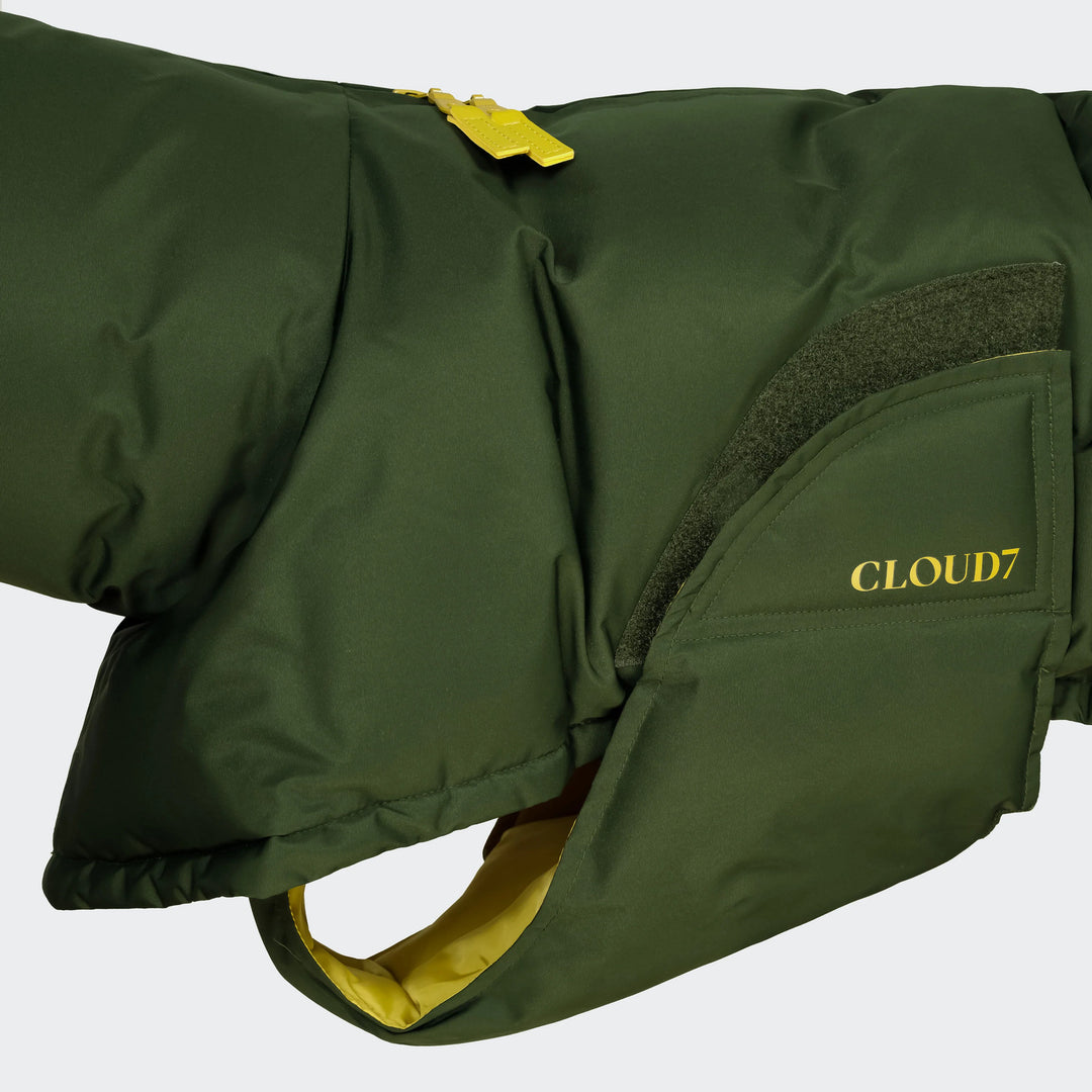 Dog Coat Everest PRO Olive | CLOUD7 Performance & Luxury