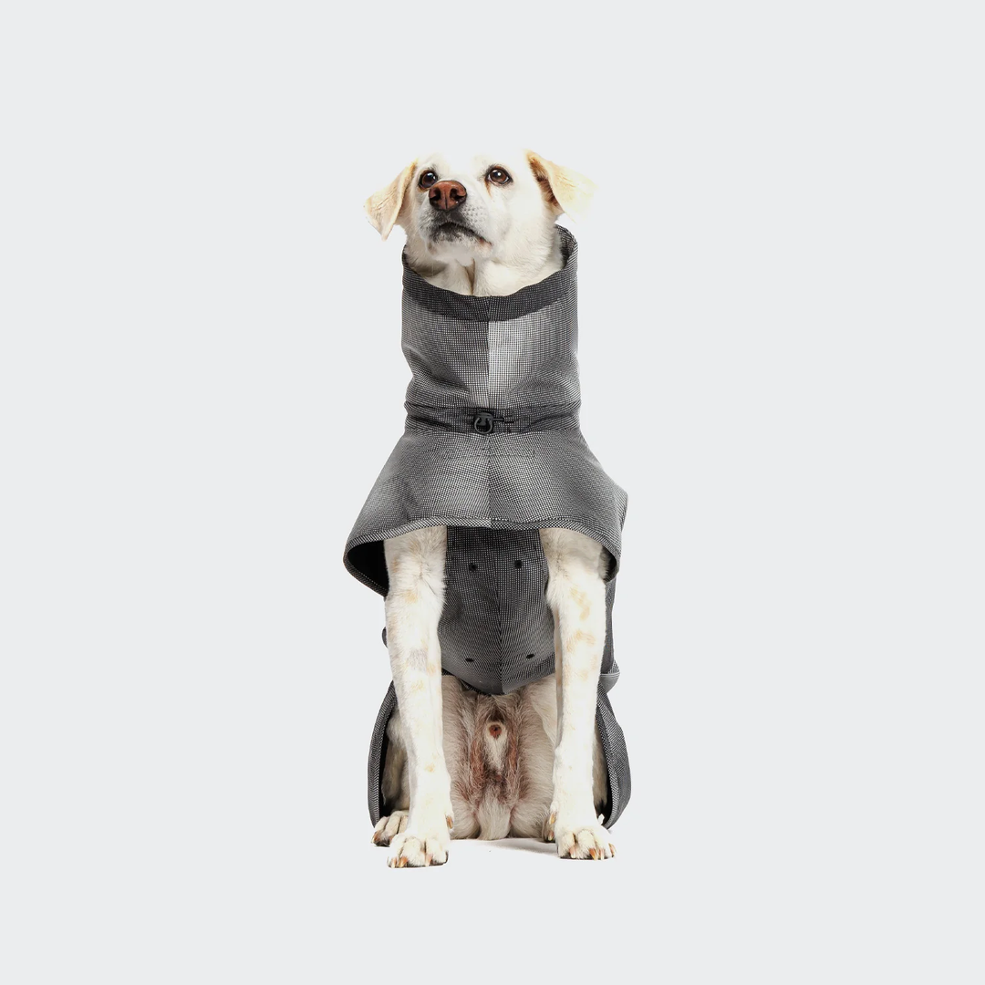 Dog Raincoat AKTIV Black | CLOUD7 Functional & Stylish Pet Outerwear