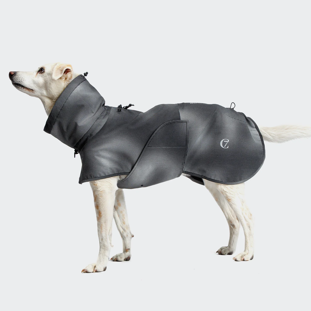Dog Raincoat AKTIV Black | CLOUD7 Functional & Stylish Pet Outerwear