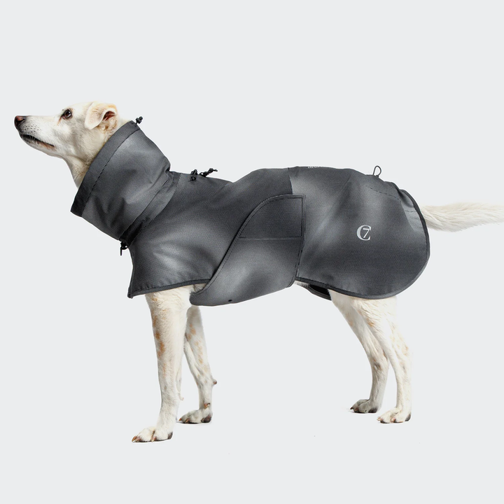 Dog Raincoat AKTIV Black | CLOUD7 Functional & Stylish Pet Outerwear