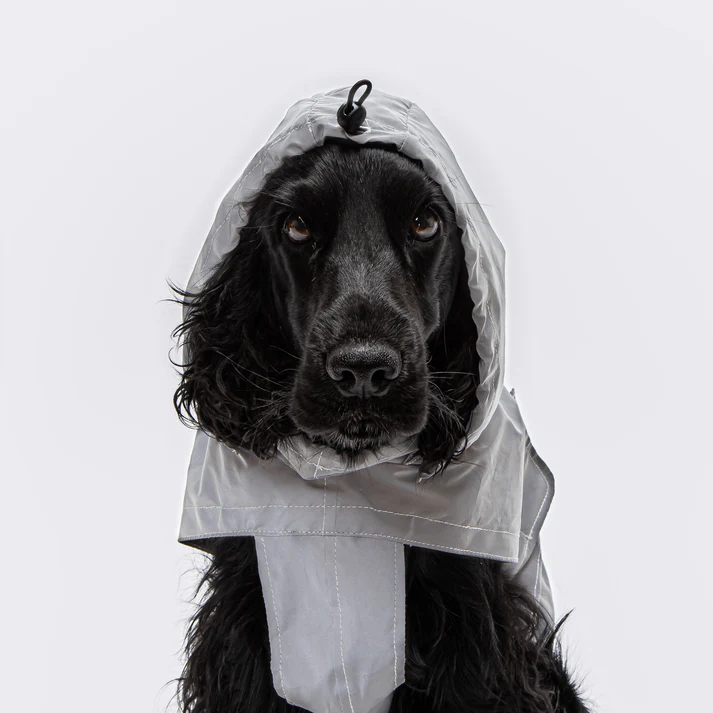 Dog Raincoat Dublin Reflective | CLOUD7 Waterproof & Safety Dog Jacket