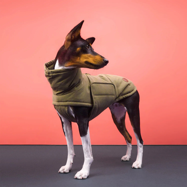 Dog Coat Yukon Teddy Khaki | CLOUD7 Warm Fleece Winter Dog Jacket