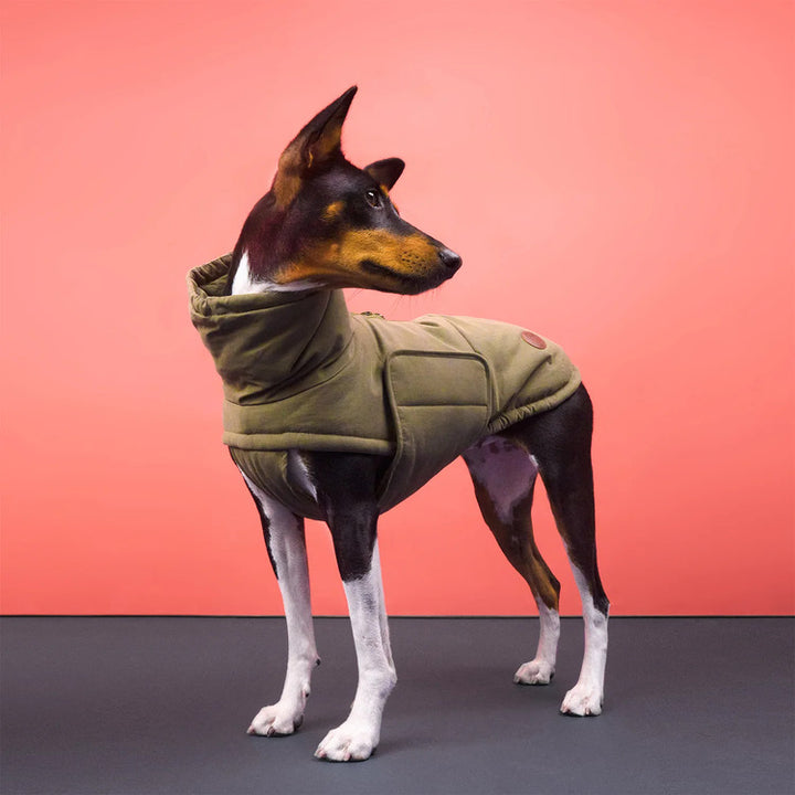 Dog Coat Yukon Teddy Khaki | CLOUD7 Warm Fleece Winter Dog Jacket