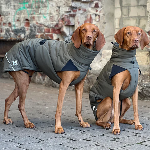 Cosima Luxury Dog Winter Coat - MiaCara Innovative Design
