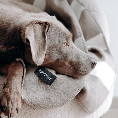 Blocco Luxury Dog Blanket - MiaCara Innovative Design