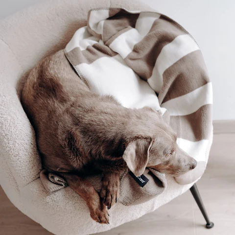 Blocco Luxury Dog Blanket - MiaCara Innovative Design