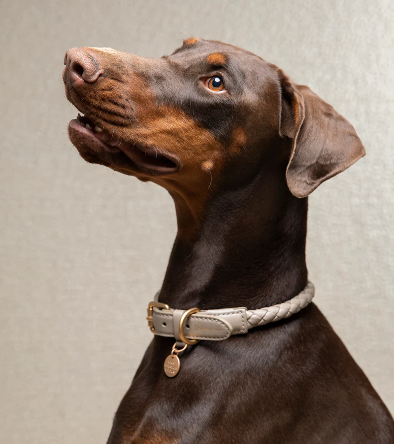 Ferdinando Braided Leather Collar for Dog | 2.8 Duepuntootto