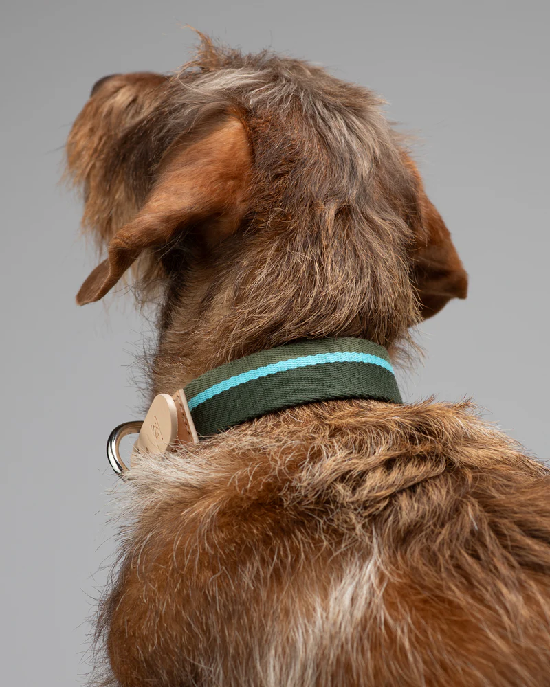 Franco Collar in Ribbon and Leather | 2.8 Duepuntootto Design for Dogs
