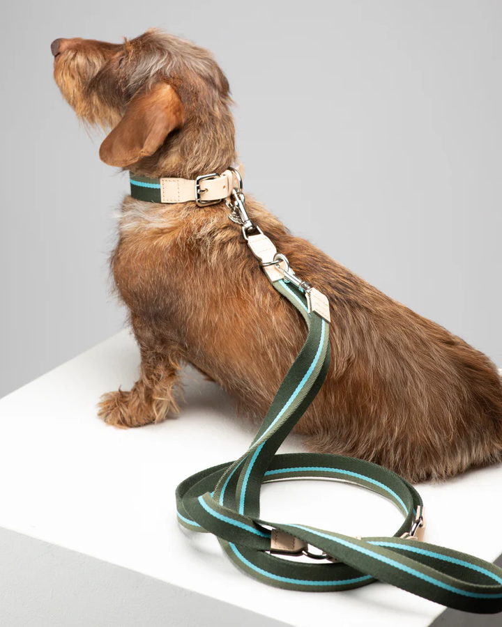 Franco Collar in Ribbon and Leather | 2.8 Duepuntootto Design for Dogs