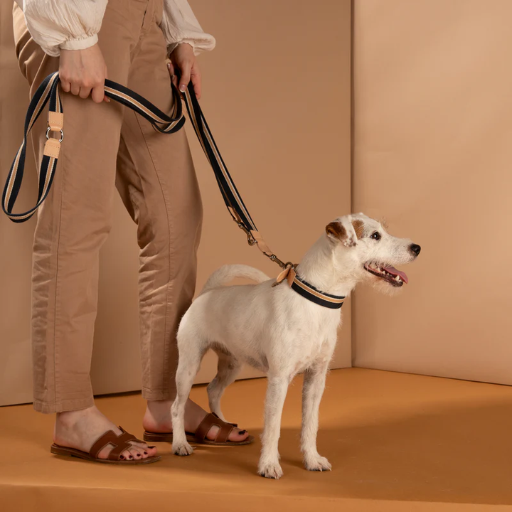 Franco Adjustable-Length Leash in Ribbon and Leather 2.8 Duepuntootto