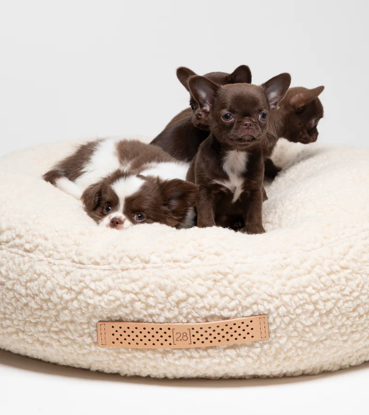 Fulvio – Bouclé Wool Dog Cushion | 2.8 Duepuntootto Design for Dogs
