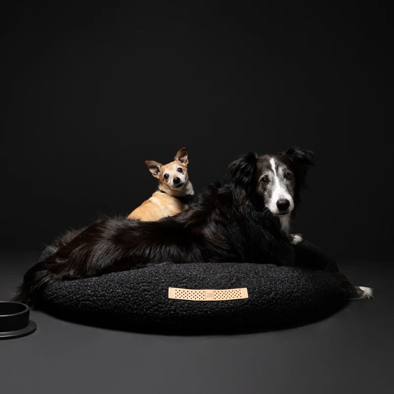 Fulvio – Bouclé Wool Dog Cushion | 2.8 Duepuntootto Design for Dogs