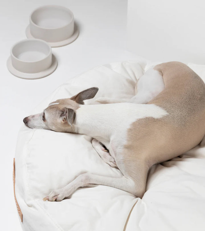 Fulvio - Drill Cotton Cushion for Dog | 2.8 Duepuntootto Design for Dogs