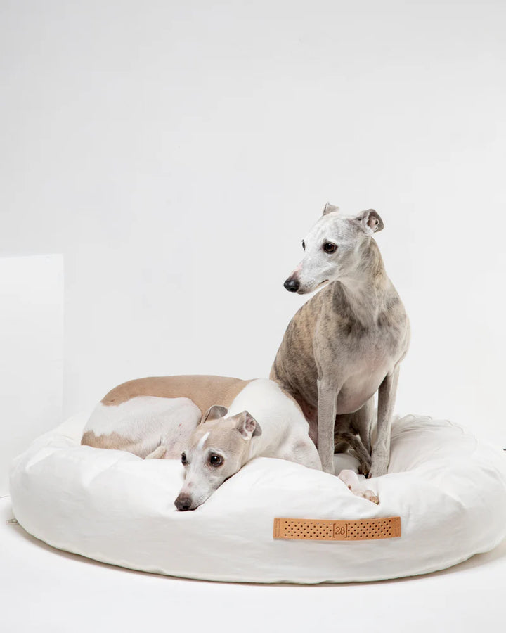 Fulvio - Drill Cotton Cushion for Dog | 2.8 Duepuntootto Design for Dogs