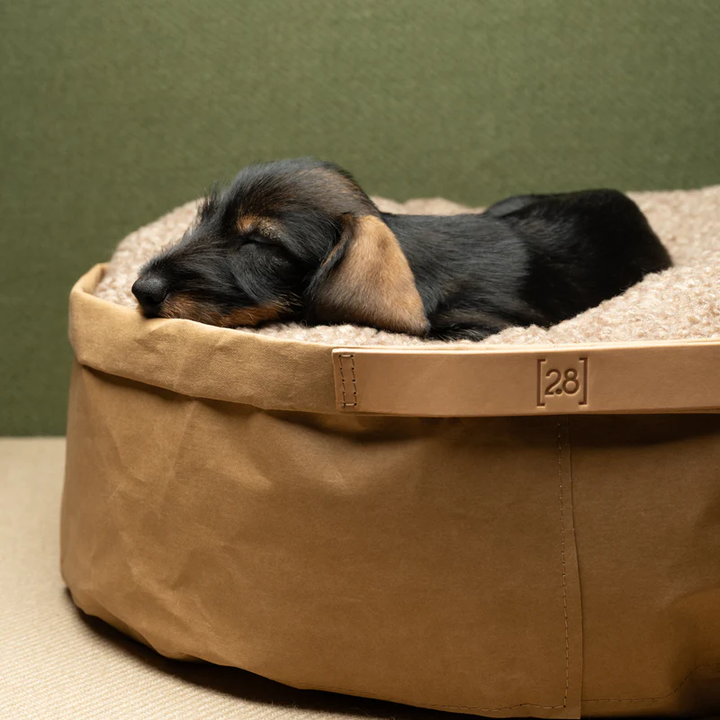 Irving – Cushion in Paper for Pets | 2.8 Duepuntootto Design for Dogs