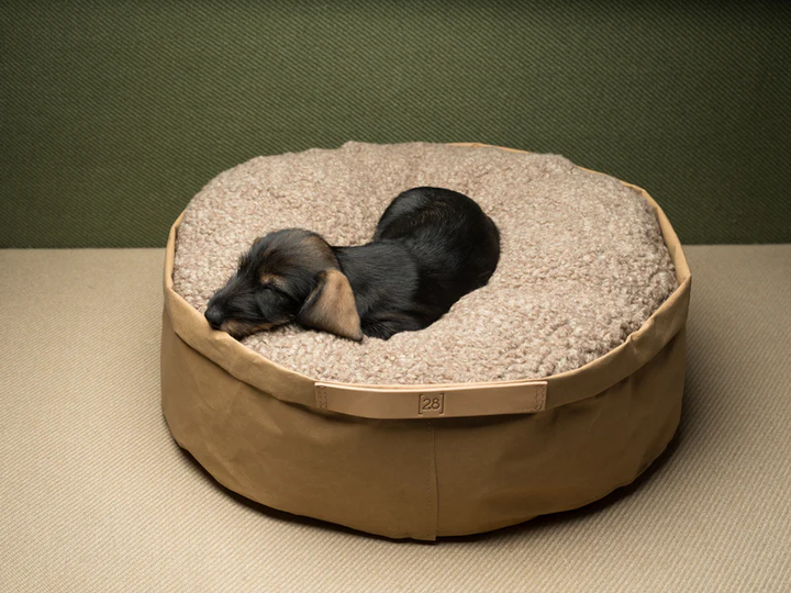 Irving – Cushion in Paper for Pets | 2.8 Duepuntootto Design for Dogs