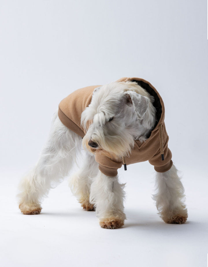 United Pets Bull Hoodie with Soft Lining | Luxury Dog Apparel