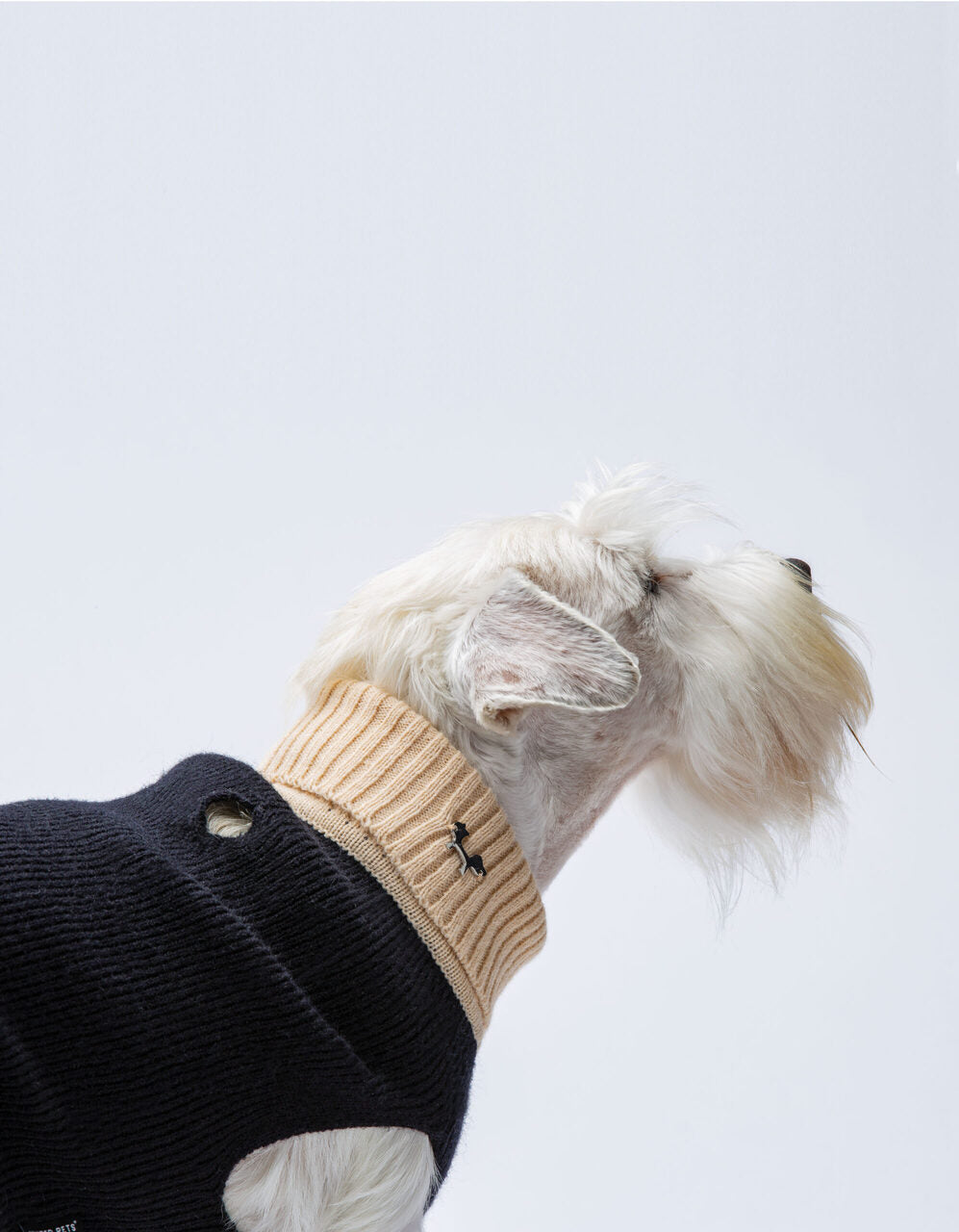 United Pets Warmy Hoodie Black | Complete Me Collection