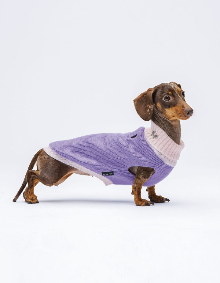 Complete Me Warmy Purple Pink | United Pets Soft Turtleneck