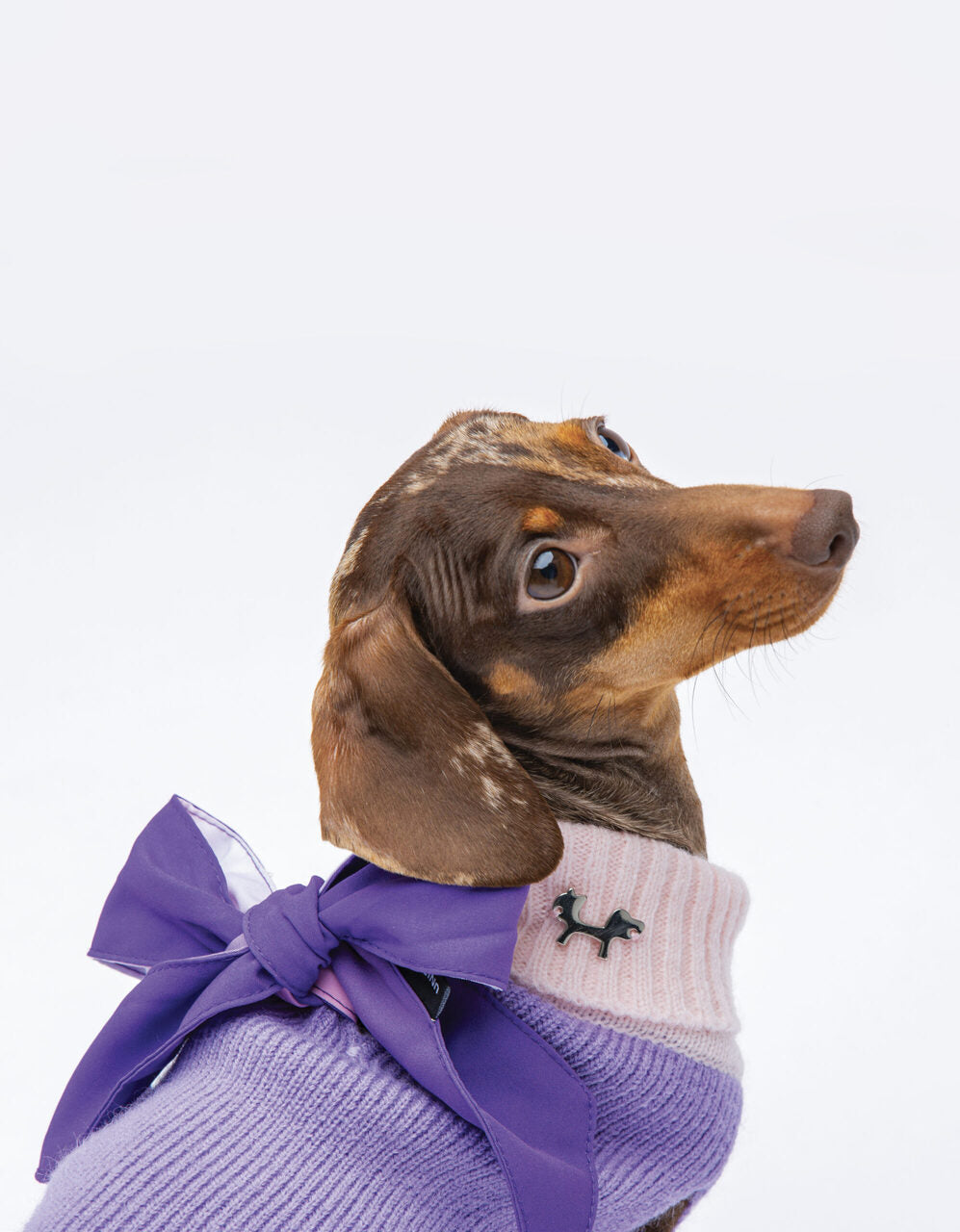 Complete Me Warmy Purple Pink | United Pets Soft Turtleneck