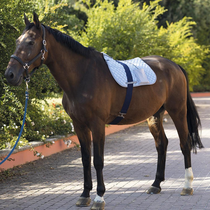 KORA PRIX Premium Magnetotherapy for Horses - Kora Theraphy