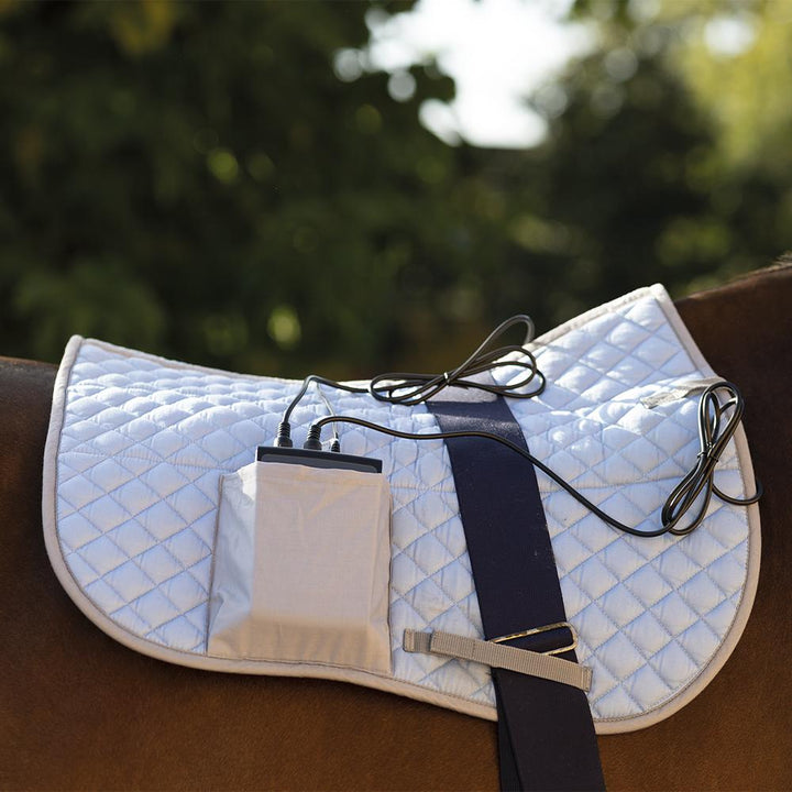 KORA PRIX Premium Magnetotherapy for Horses - Kora Theraphy