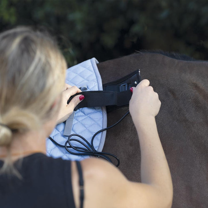 KORA PRIX Premium Magnetotherapy for Horses - Kora Theraphy