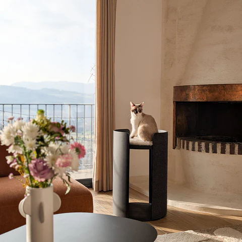 Torre Minimalist Cat Scratching Post - MiaCara Innovative Design